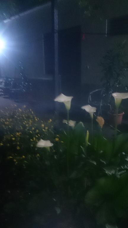 Camping Late Gjirokastër Exteriör bild
