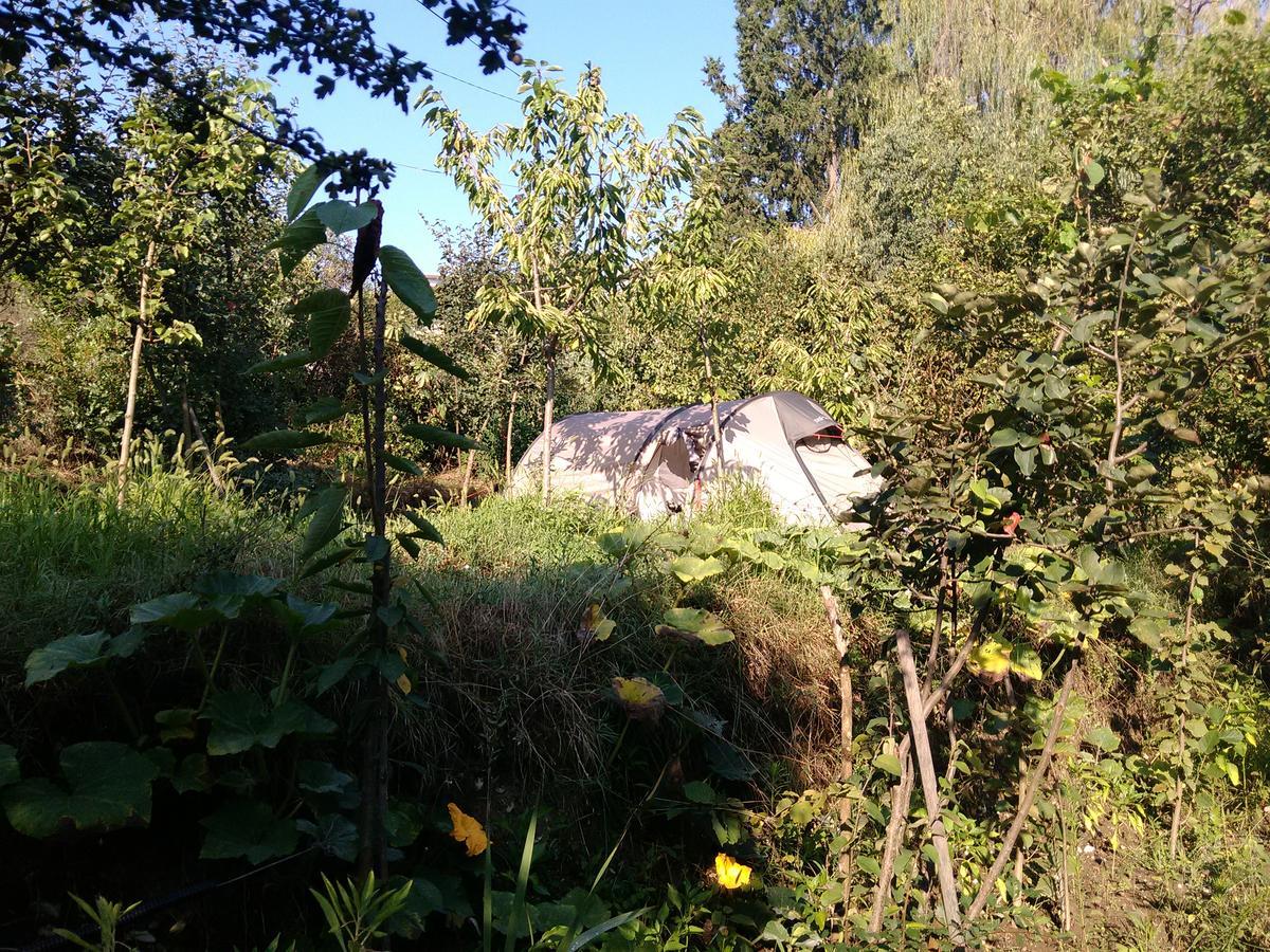 Camping Late Gjirokastër Exteriör bild